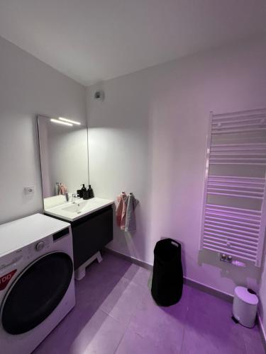 uma casa de banho com um lavatório e um espelho em Appartement avec son jardin d’hiver em Poissy
