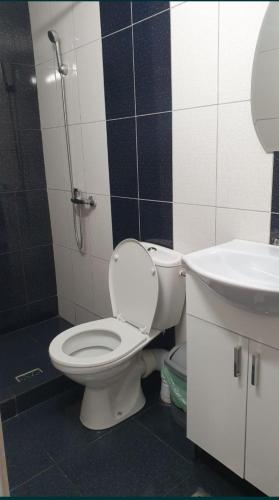 a bathroom with a toilet and a sink at Casa Bianca in Eforie Nord