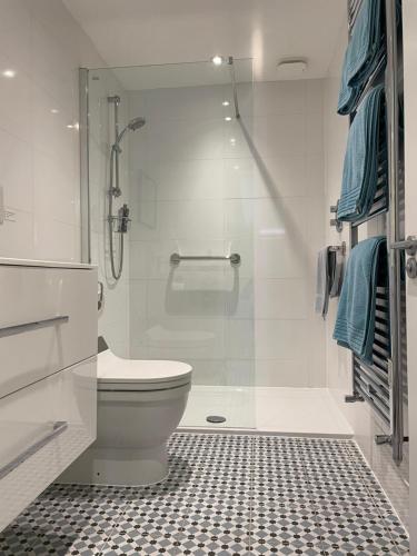 uma casa de banho com um WC e uma cabina de duche em vidro. em Garden hideaway, self-contained, edge of Bath em Bath