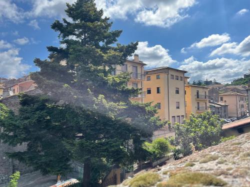 a pine tree on a hill in a city at Nazareth Residence in Viterbo