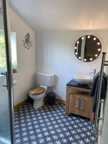 a bathroom with a toilet and a sink and a mirror at Moorland Breeze in Bodmin