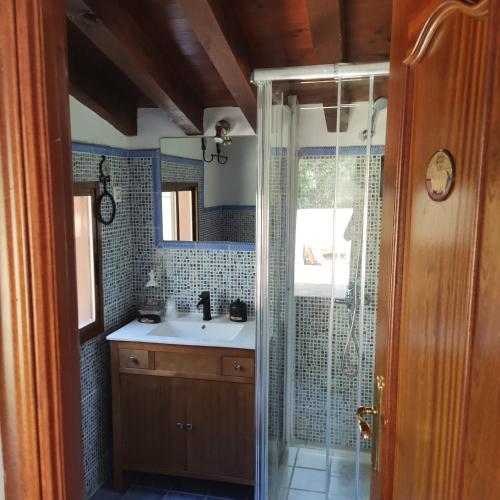 a bathroom with a sink and a shower at Casa Rural Viñas Perdidas in Béjar