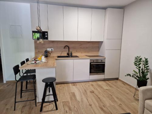 Η κουζίνα ή μικρή κουζίνα στο "Apartments Petra With Swimming Pool"