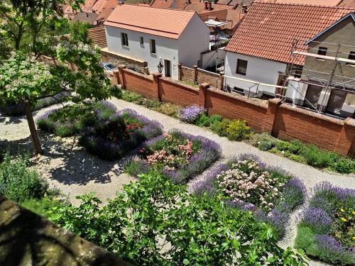 an overhead view of a garden with purple flowers at BYT POD ZÁMKEM in Valtice