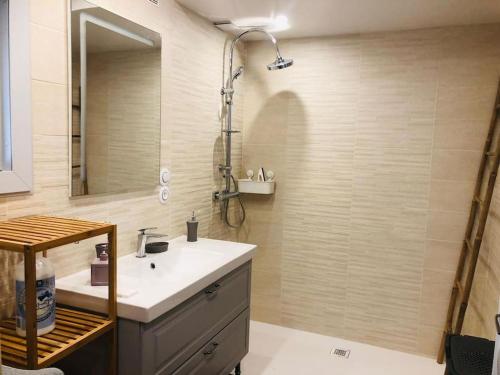 une salle de bain avec un lavabo et une douche avec un miroir dans l'établissement Gîte Chez Paulette, à Mareuil-sur-Cher