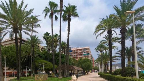 uma rua com palmeiras e um edifício em Mar y castillo em Cullera