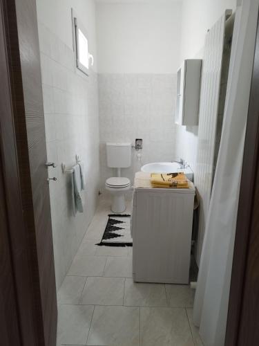 a white bathroom with a toilet and a sink at Da Silvana in Rovereto