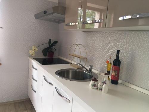 a kitchen with a sink and a bottle of wine at Art De Lux apartment in Višnjan