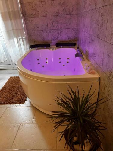 e bagno con vasca e pianta in vaso. di Zephir Suite a Brindisi