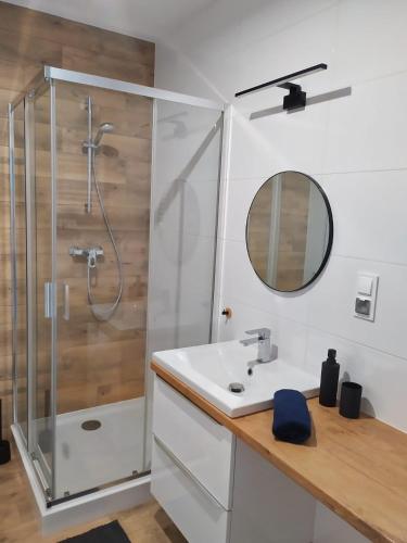 een badkamer met een douche, een wastafel en een spiegel bij Baltic Garden in Sztutowo
