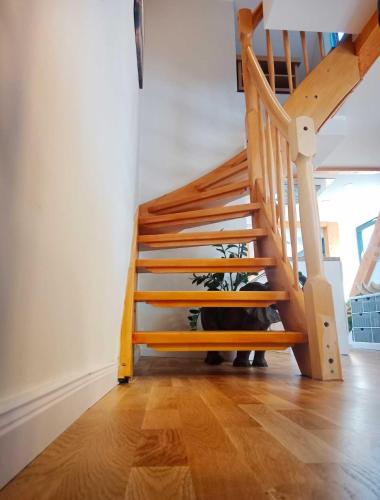 a cat is sitting under a wooden staircase at FeWoNeustadt-02 in Neustadt in Holstein