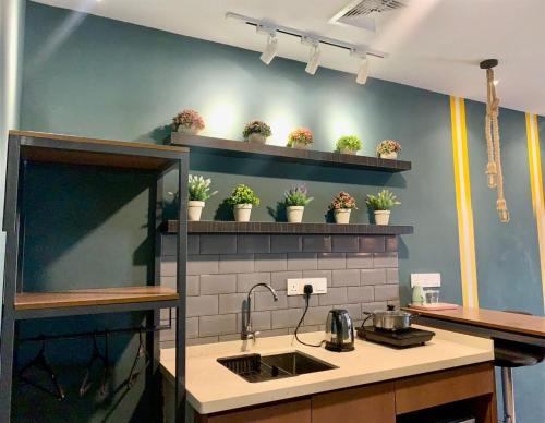 a kitchen with potted plants on shelves above a sink at Smile Hotel Subang USJ in Subang Jaya