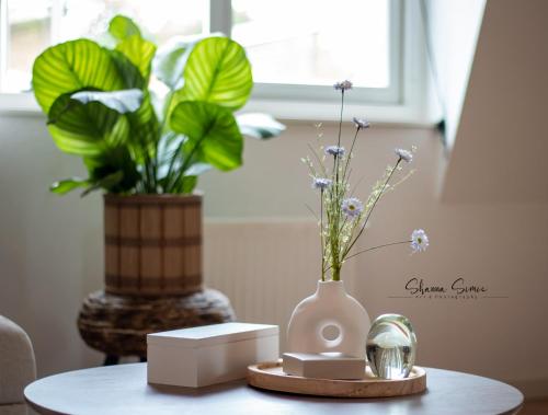 Φωτογραφία από το άλμπουμ του ApartHotel De Koning by Urban Home Stay σε Άλκμααρ