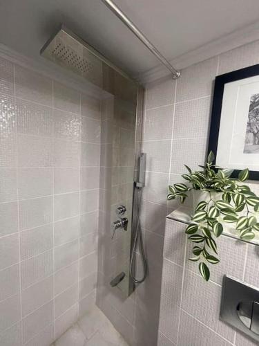 a bathroom with a shower with a plant in it at Studio in the center, 2 mins from the beach in Loutraki
