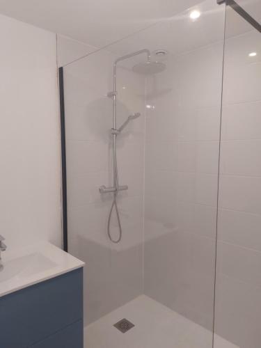 a shower with a glass door in a bathroom at Appartement plein centre in Broons