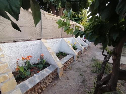 Κήπος έξω από το Tota's Family House