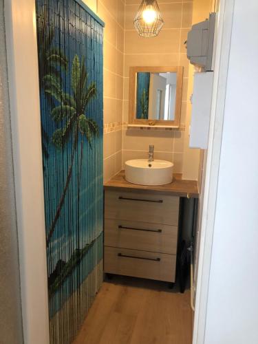 une salle de bain avec un lavabo et un miroir dans l'établissement Studio vue mer, à Saint-Hilaire-de-Riez