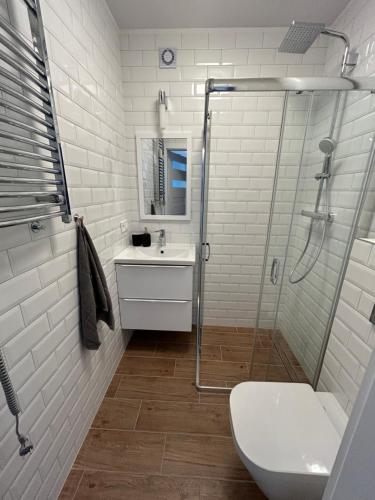 W łazience znajduje się prysznic, umywalka i toaleta. w obiekcie Apartament za wydmami w Rowach