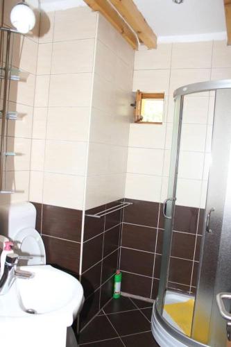 a bathroom with a shower and a toilet and a sink at Apartman Maja in Gračac