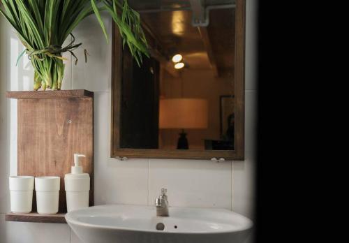 a bathroom with a sink and a mirror and a plant at Loft in central Ben Thanh-2 beds in Ho Chi Minh City