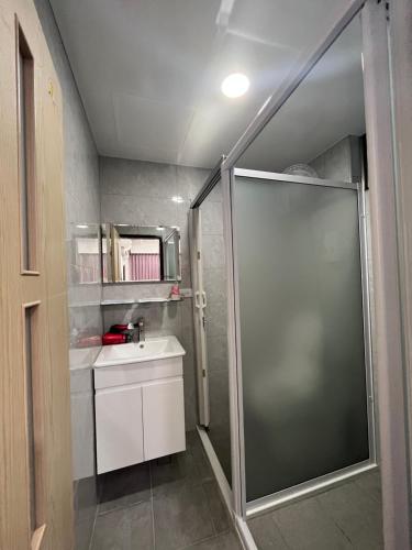 a bathroom with a shower and a sink at Tamshui Homestay in Tamsui