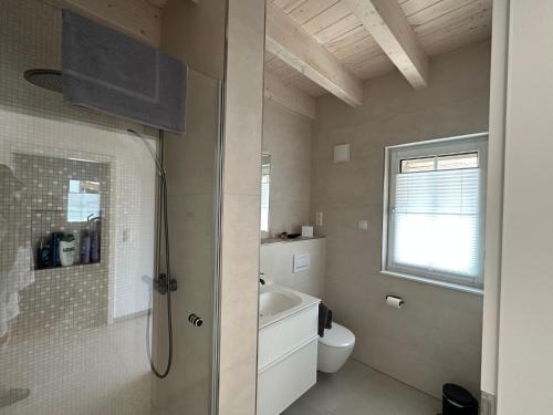 a bathroom with a shower and a toilet and a sink at Chiemgau Ferienhaus Premium by BellaVita in Bad Endorf