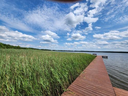 a wooden dock on a body of water with tall grass at Jak Tu Sielsko in Osiek