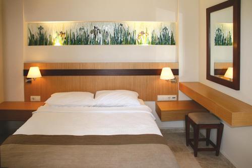 ビテツにあるVillanaz Apart Hotelのベッドと鏡が備わるホテルルーム