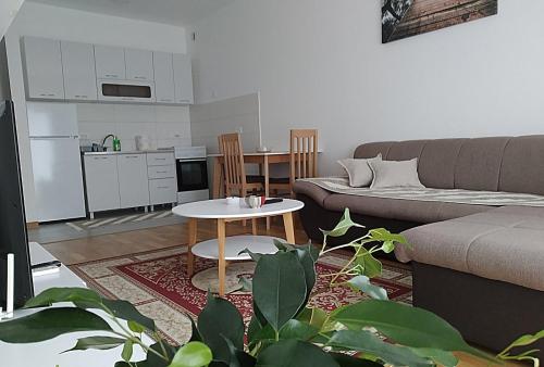 een woonkamer met een bank en een tafel bij Renta apartman in Podgorica