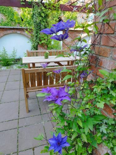 a wooden bench sitting next to a bunch of purple flowers at Noclegi Szymrych in Chełmsko Śląskie