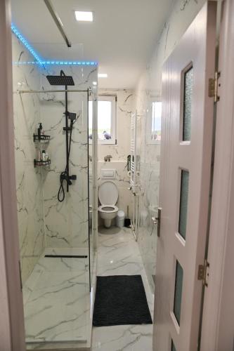 a bathroom with a glass shower with a toilet at Acasă la Maria in Petrila