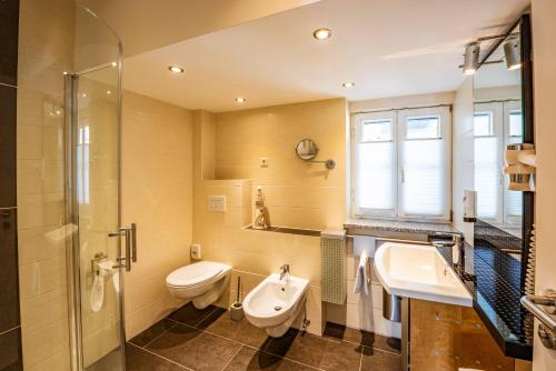 a bathroom with a toilet and a sink and a shower at City-Appartements Am Wall in Goslar