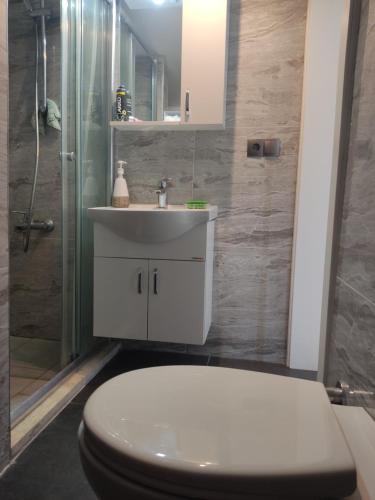 a bathroom with a toilet and a sink and a shower at Özel Villa in Sarıyer