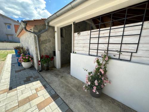 Casa Mio
