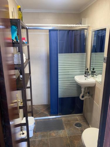 a bathroom with a shower and a sink and a toilet at piso 2, en Piedrasblancas a 5 min, 1,5 kilometros de la playa de salinas in Piedras Blancas