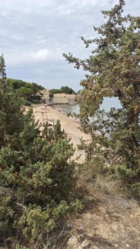 Φυσικό τοπίο κοντά σε αυτή η παραθεριστική κατοικία