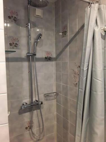 une salle de bain avec une douche avec un rideau de douche dans l'établissement Maison sur les bords de Vienne., à Queaux