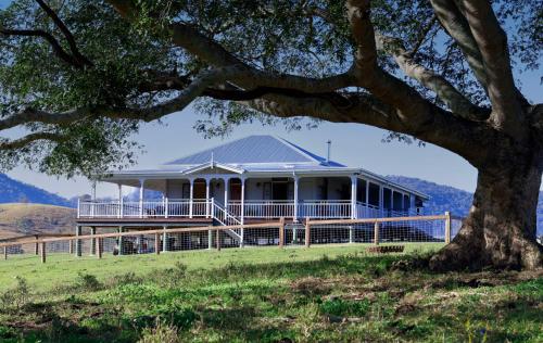 a house on a hill with a tree at Cookes Road Cottage at Conondale in Conondale