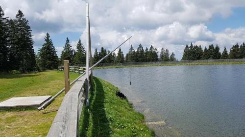 a wooden fence next to a lake with a pole at Rogla - Chalet Mojca Pokrajculja in Zreče