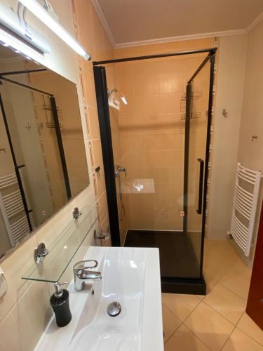 La salle de bains est pourvue d'un lavabo et d'une douche. dans l'établissement Penzion HM, à Oščadnica