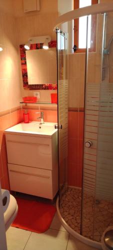 une salle de bain avec une douche, un lavabo et des toilettes dans l'établissement Studio meublé et tout équipé, à Die