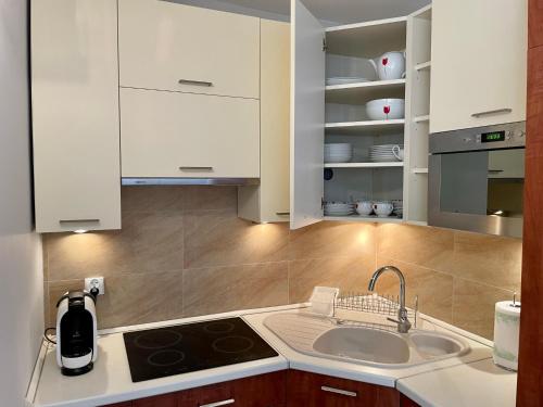 a kitchen with a sink and a stove and cabinets at Komfortowy Apartament w Blue Mare in Łukęcin