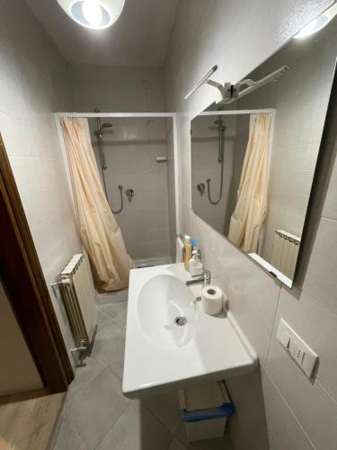 y baño blanco con lavabo y ducha. en Romantic enchantment with private bathroom, en Venecia