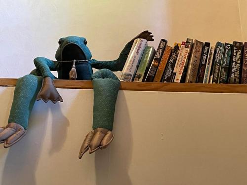 a stuffed frog sitting on a shelf with books at JUST Lodges in Orissaare