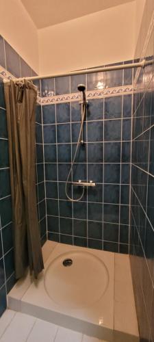 a blue tiled bathroom with a shower with a sink at Comme à la Maison in Saint-Paul-de-Fenouillet