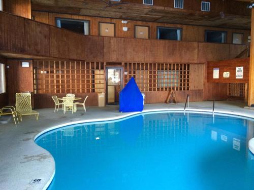 Bazén v ubytovaní Cedar Motor Inn alebo v jeho blízkosti