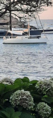 a boat sitting in the water with some flowers at barca a vela in Portoferraio