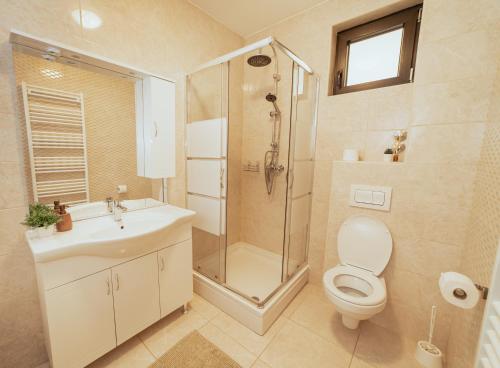 a bathroom with a shower and a toilet and a sink at Jankovi Dvori in Rakovica