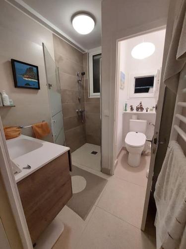 une salle de bain avec toilettes, lavabo et douche dans l'établissement chez moi, à Rennes