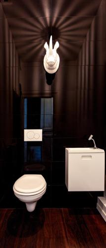 une salle de bains noire avec des toilettes et un lustre dans l'établissement Hôtel particulier de 1734 - avec Parking - Plein centre-ville, à Besançon